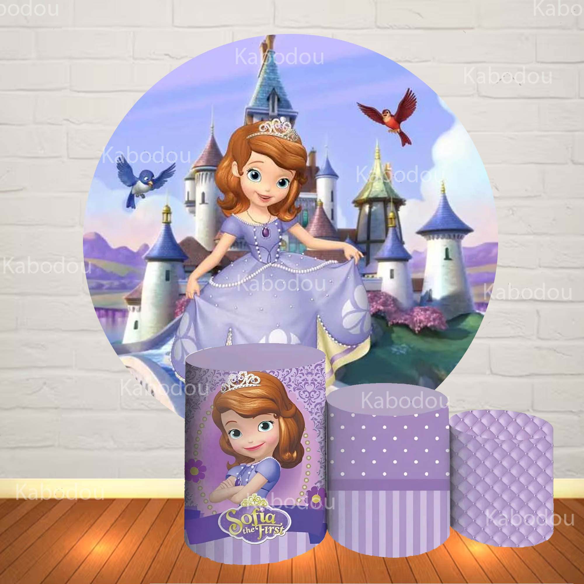 Photography Class - Sofia the First Round Backdrop Baby