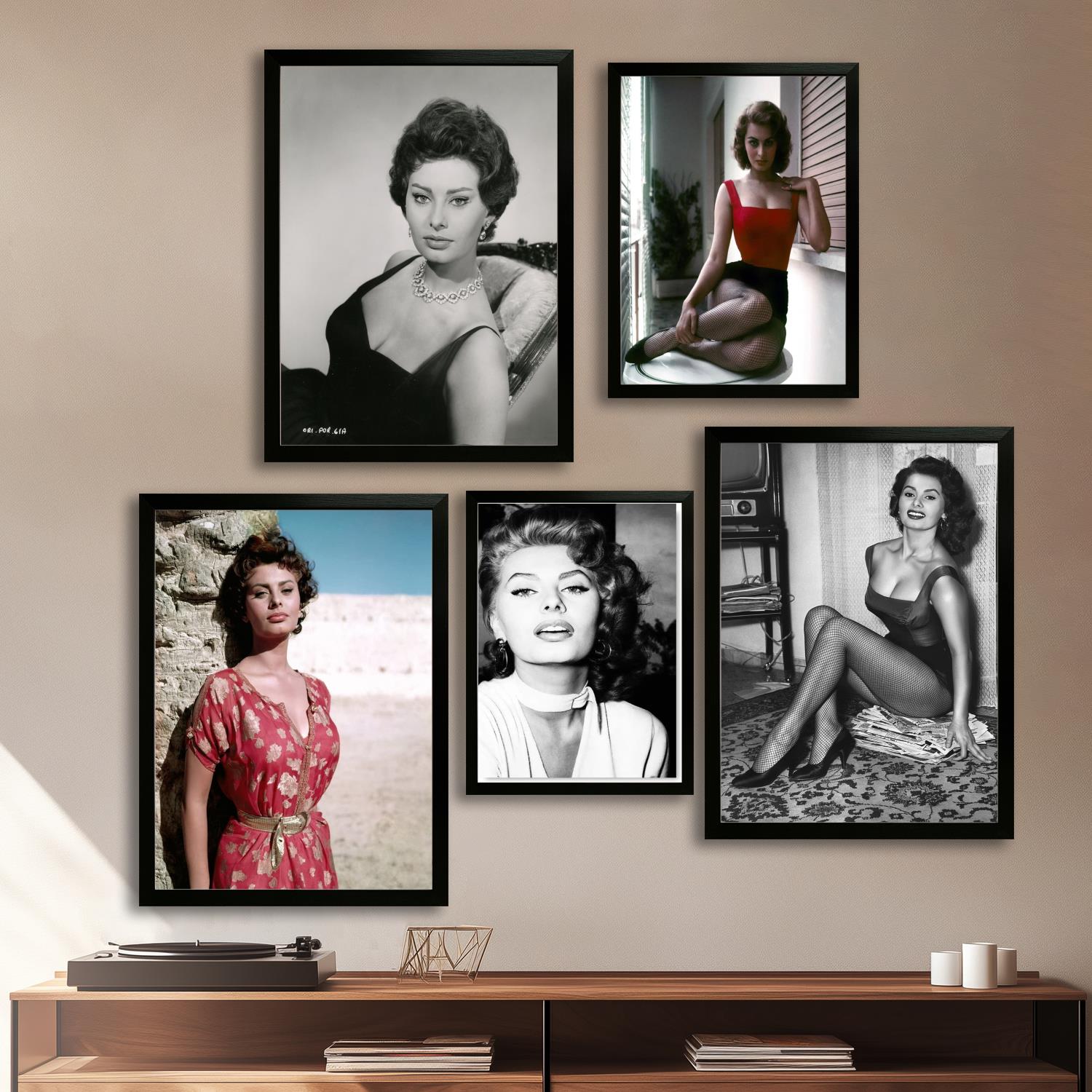 Photography Hobby - sophia loren Canvas Art Poster and