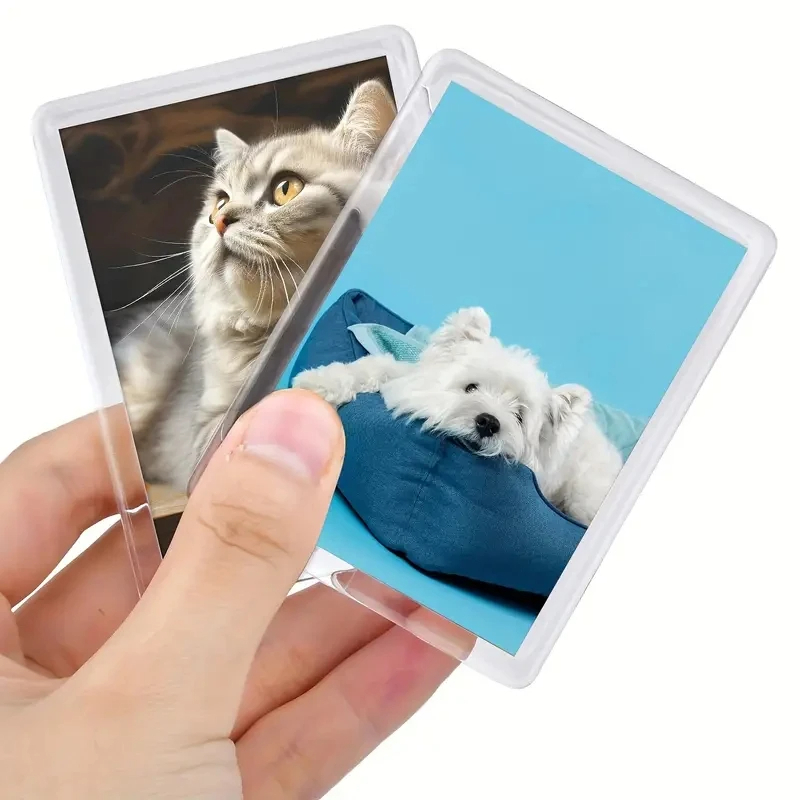 12/20PC Clear Magnet Photoes H - Photography Hacks 评论和价格