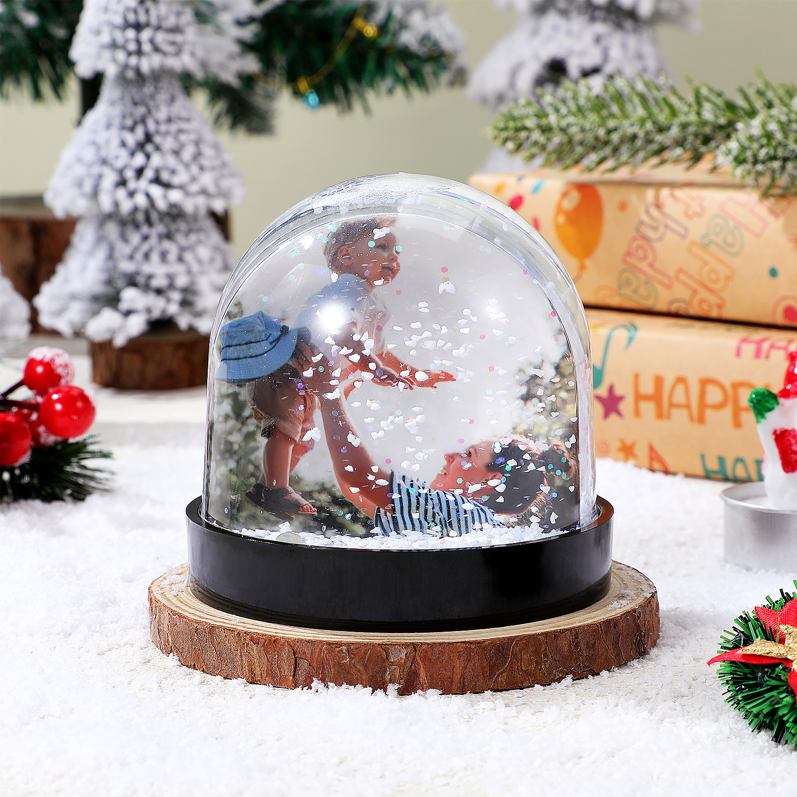  Snow Globe With Photo Inserts - Photography Hacks 评论和价格