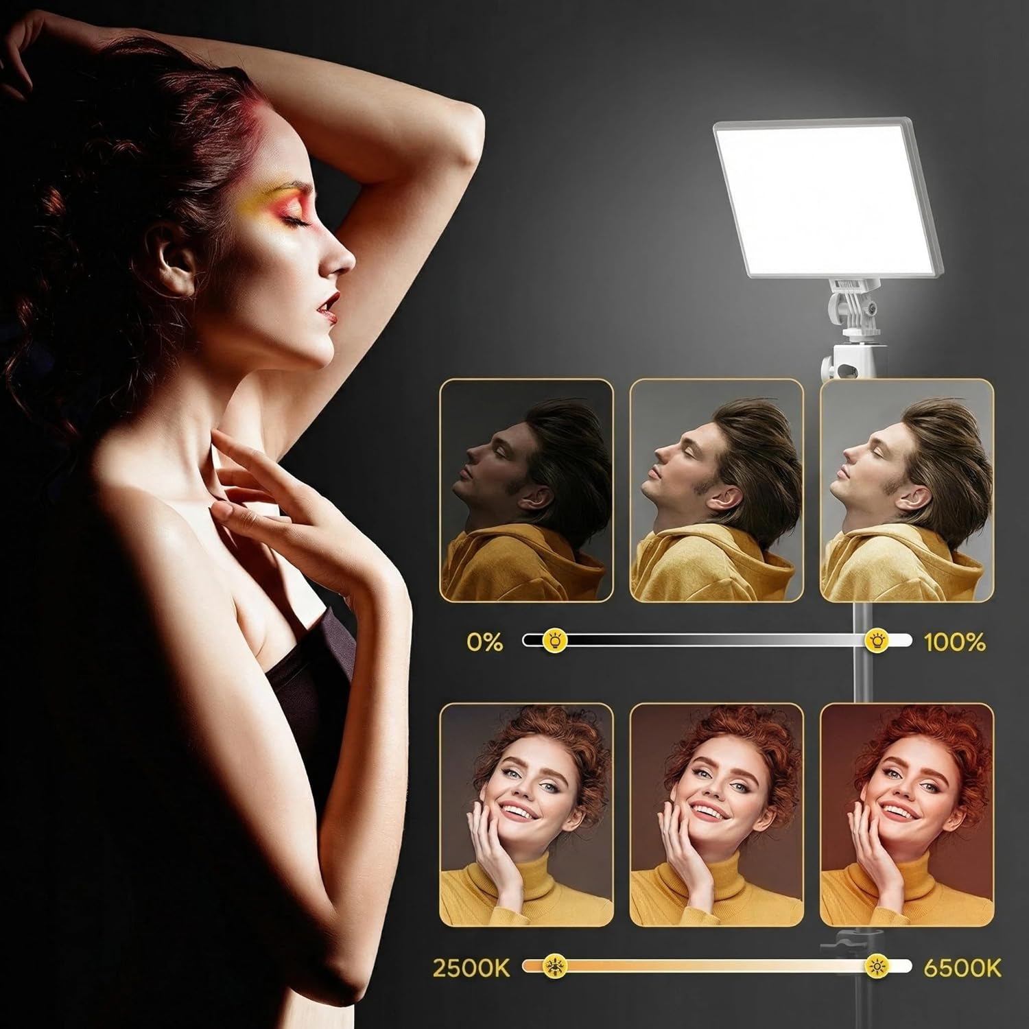 19.5W LED Video Light 2500-650 - Photography Video 评论和价格