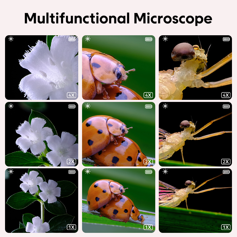 Mini Kids Optical Microscope W - Photography History 评论和价格