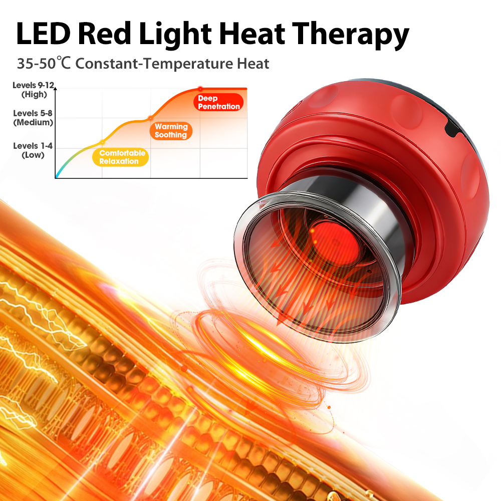 12 Electric Heated Back Massag - Photography Digital 评论和价格